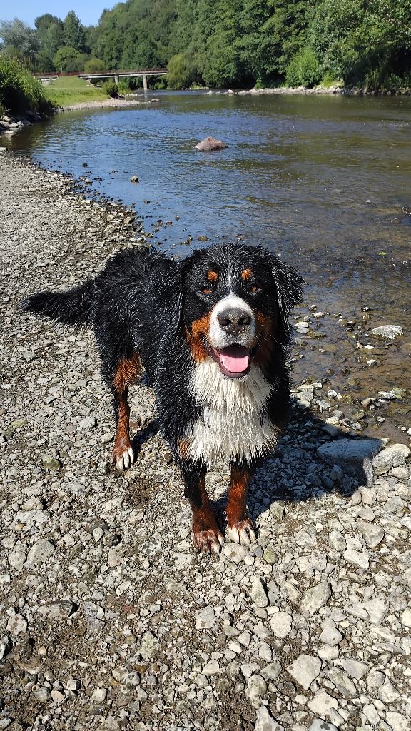 Uyna Du Domaine De Bakadit